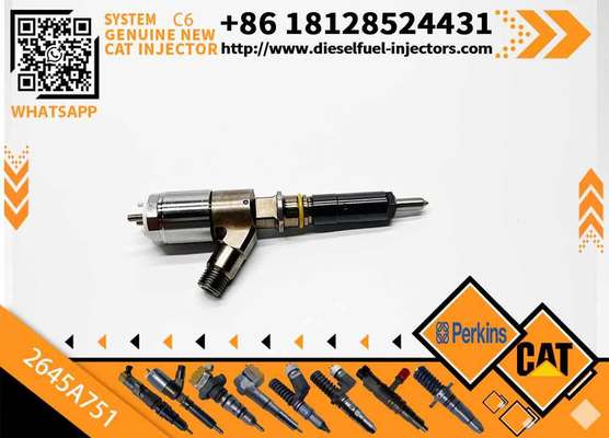 New Injector for CAT320D C6.6 Diesel 320-0690 2645A749 321-3600 320-0655 326-4756 320-0688 375-4106 320-0688 2645A751 2645A753