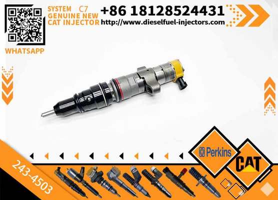 263-8218 387-9427 328-2585 10R-7225 243-4502 10R7255 387-9430 238-8901 241-3239 Diesel Fuel Injector for C7 Engine