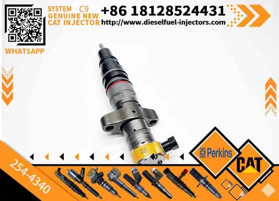 FAST SHIPPING C9 diesel Fuel Injector 387-9433 254-4340 557-7633 328-2574 for CAT Excavator Engine