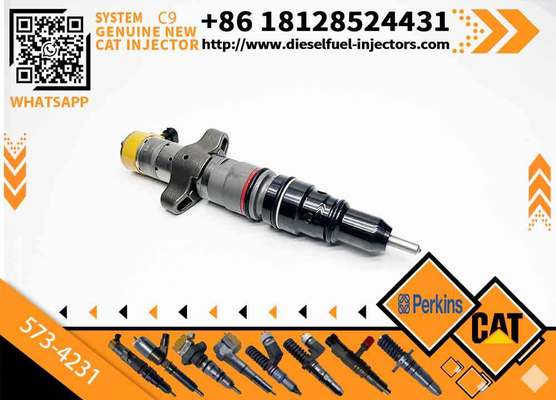 New Common Rail Fuel Injector 328-2573 557-7637 573-4231 577-7633 3282573 5577637 5734231 5777633 for C7 C9 Engine