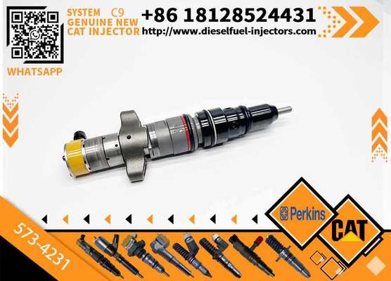 New Common Rail Fuel Injector 328-2573 557-7637 573-4231 577-7633 3282573 5577637 5734231 5777633 for C7 C9 Engine