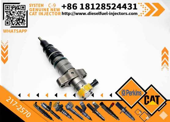 CAT C7 C9 Fuel Injector 217-2570 235-2888 2352888 387-9433 3879433 293-4071 387-9427 3879427 263-8218 2638218 for Caterpillar