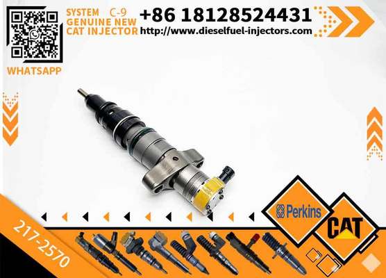CAT C7 C9 Fuel Injector 217-2570 235-2888 2352888 387-9433 3879433 293-4071 387-9427 3879427 263-8218 2638218 for Caterpillar