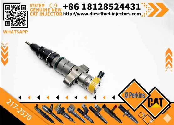 CAT C7 C9 Fuel Injector 217-2570 235-2888 2352888 387-9433 3879433 293-4071 387-9427 3879427 263-8218 2638218 for Caterpillar