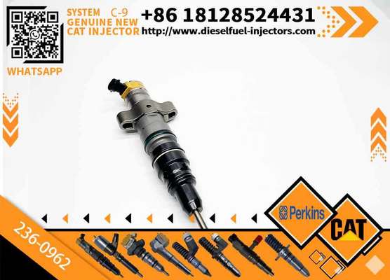 Common Rail Injector 236-0962 241-3238 263-8218 for Cat Excavator Caterpillar C7 Engine Parts