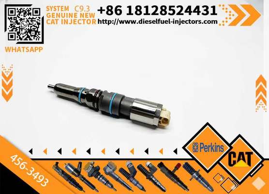 Excavator Parts 20r5036 20r-5036 C9.3 Injector 456-3493 for 336e