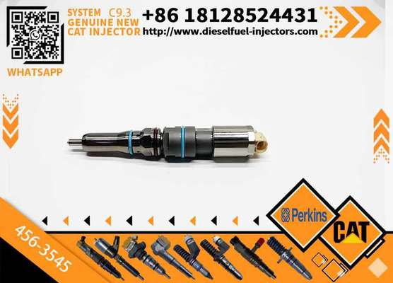 Engine Fuel Injector Gp-Fuel 456-3545 4563545 20R5078 20R-5078 for Caterpillar Excavator