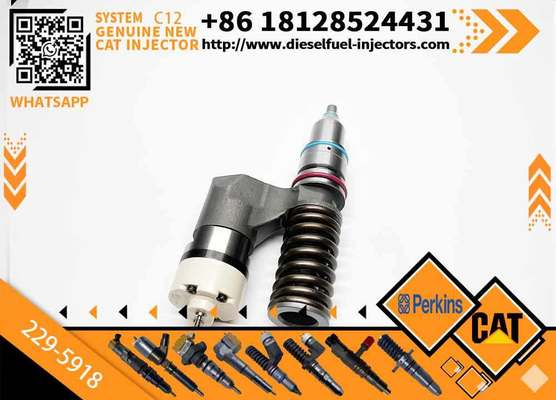 New Common Rail Fuel Injector 223-5328 229-5918 20R-0055 10R-0725 for C12 Diesel Engine