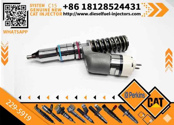 ​For CAT Diesel Engine 3176 3196 C10 C12 Injection Valves Fuel Injector 194-5083 10R-0963 208-9160 10R-1264 1945083 10R0963 229-5919
