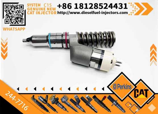 Factory supply 244-7716 249-0709 10R-1273 common rail injector 2447716 2490709 10R1273 diesel fuel injector for excavator