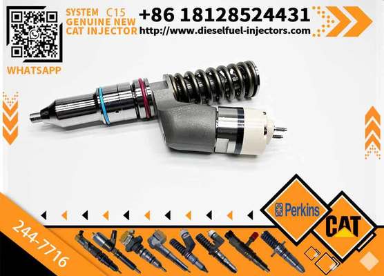 Factory supply 244-7716 249-0709 10R-1273 common rail injector 2447716 2490709 10R1273 diesel fuel injector for excavator