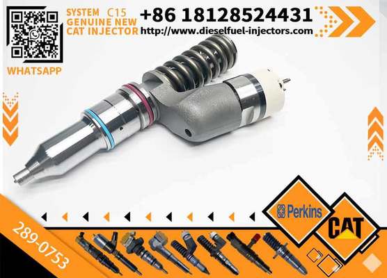 289-0753 Pump GP-Fuel Injector CA2890753 2890753 20R-5036 20R5036 for Diesel Engine Industrial Engine C15 C18
