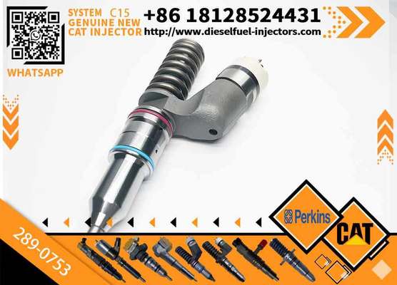 289-0753 Pump GP-Fuel Injector CA2890753 2890753 20R-5036 20R5036 for Diesel Engine Industrial Engine C15 C18