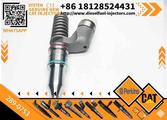 289-0753 Pump GP-Fuel Injector CA2890753 2890753 20R-5036 20R5036 for Diesel Engine Industrial Engine C15 C18