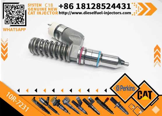 Diesel Fuel Injector 276-8307 10R-7231 230-3775 for Cat-erpillar C18/C32 Common Rail Injection Valves