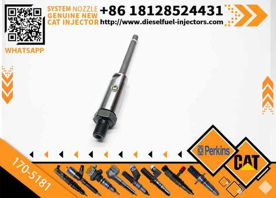 High Quality 3306 3306B ENGINE Fuel Injector Nozzle 0R3591 0R-3591 7W-7045 1705181 170-5181 for 235B 350 EXCAVATOR