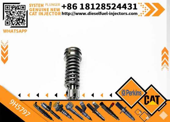 High Quality Fuel Injection Pump Plunger 9H5797 1W6541 7W5929 6N7828 7W6929 HRCA4P9830 for Excavator