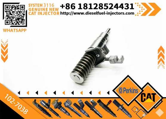 Best Quality Excavator Parts Diesel Fuel Injector 102-7038 1027038 for CAT Engine 3116