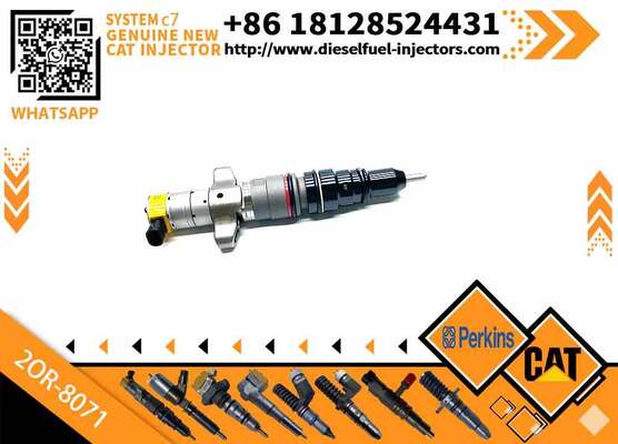 Engine Parts for Rail Injector 557-7627 243-4503 20R-9079 2OR-8071