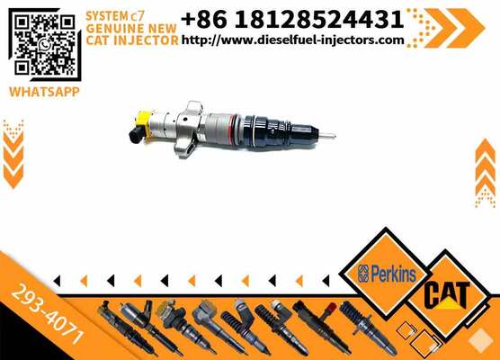 293-4071 Diesel Fuel Injector for Caterpillar C9 Engine 2934071