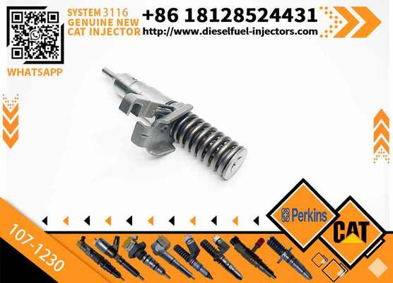 High Quality Common Rail Fuel Injector 102-7038 105-1694 107-1230 for C-aterpillar Sprayer Excavator 3116