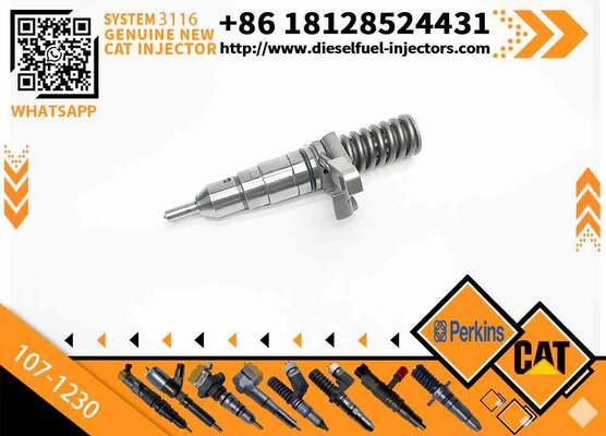 High Quality Common Rail Fuel Injector 102-7038 105-1694 107-1230 for C-aterpillar Sprayer Excavator 3116