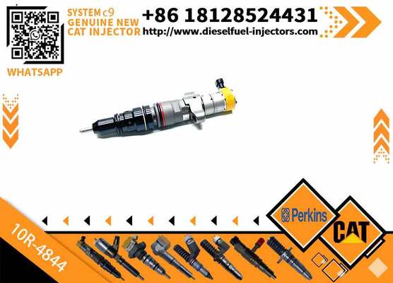 Excavator Diesel Common Rail Inyector 387-9437 10R-4844 C9 Fuel Injector