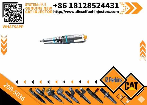 Quality Common Rail Fuel Injector 363-0493 456-3493 20R-5036 for CAT Engineering