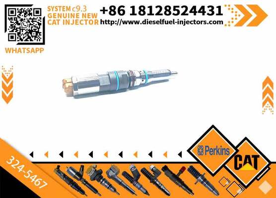 Common Rail Fuel Injector 304-3637 324-5467 342-5487