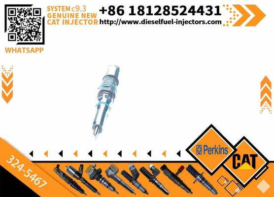 Common Rail Fuel Injector 304-3637 324-5467 342-5487