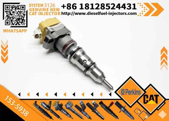 Engine 3126 3126B 211-0565 128-6601 153-5938 155-1819 155-8723 169-7411 169-7410 Fuel Injector For Excavator E325C 325c
