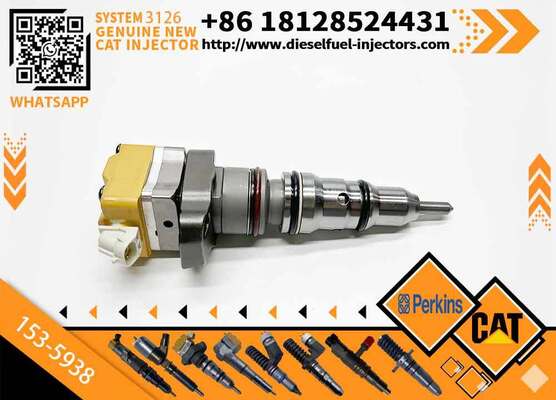 Engine 3126 3126B 211-0565 128-6601 153-5938 155-1819 155-8723 169-7411 169-7410 Fuel Injector For Excavator E325C 325c