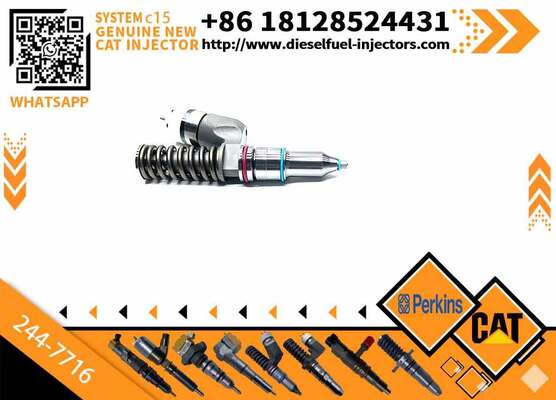 Engine Fuel Injector 10R-1000 10R1000 244-7716 2447716