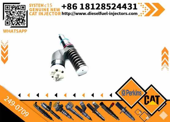 Common Rail Diesel Fuel Injector 249-0709 2490709 for