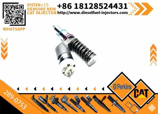 Fuel Injector 289-0753 20R-5036 2890753 20R5036 for