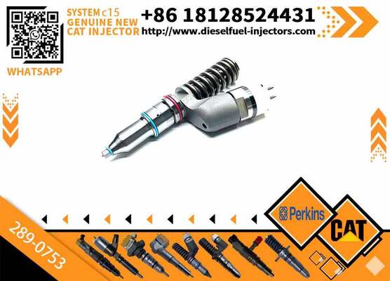 Fuel Injector 289-0753 20R-5036 2890753 20R5036 for