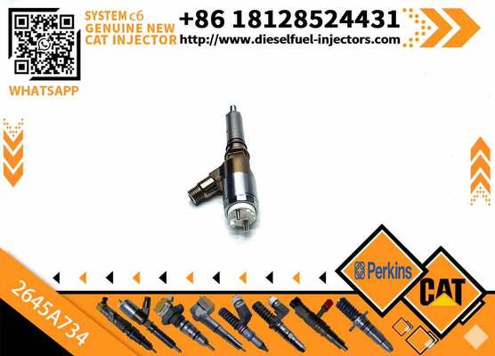 Excavator Injector 2645A718 2645A734 2645A747 for