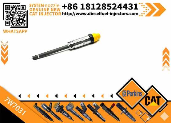 Engine Parts Fuel Injector 7W7031 7W-7031 for C-AT Nozzle
