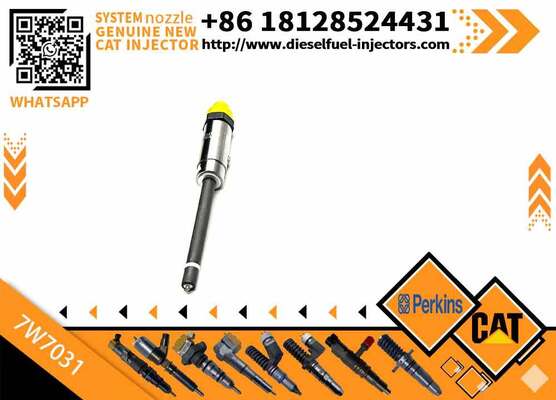 Engine Parts Fuel Injector 7W7031 7W-7031 for C-AT Nozzle