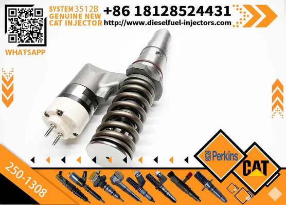 Engine 196-5802 250-1308 10R-1280 250-1301 2501301 2501308 10R1280 1965802 Common Rail Fuel Injector for 3512 3508 3516 3516B