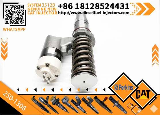 Engine 196-5802 250-1308 10R-1280 250-1301 2501301 2501308 10R1280 1965802 Common Rail Fuel Injector for 3512 3508 3516 3516B