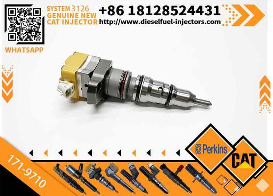 Diesel Engine Injector Pump 126-0499 131-7150 141-7837 145-9360 155-1819 171-9710 10R-9348