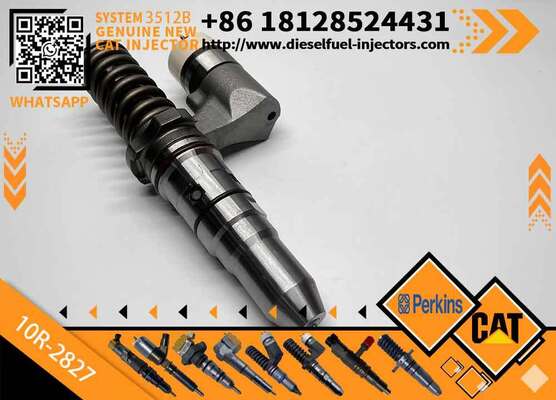New Common Rail Injector 10R-2827 20R3483 20R-3247 389-1969 379-0509 386-1771 10R-3255 for diesel Engine CAT
