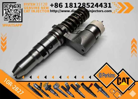 New Common Rail Injector 10R-2827 20R3483 20R-3247 389-1969 379-0509 386-1771 10R-3255 for diesel Engine CAT