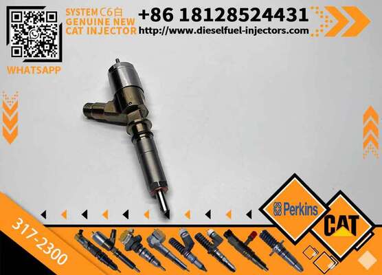 Excavator Injector 10R7675 10R-7675 3172300 317-2300 for C4 C6 Diesel Engine Parts Nozzle Assembly