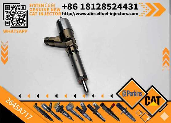 Fuel Injector 2645A717 for Perkins Cater-pillar CAT C6.4 C6.6 Excavator