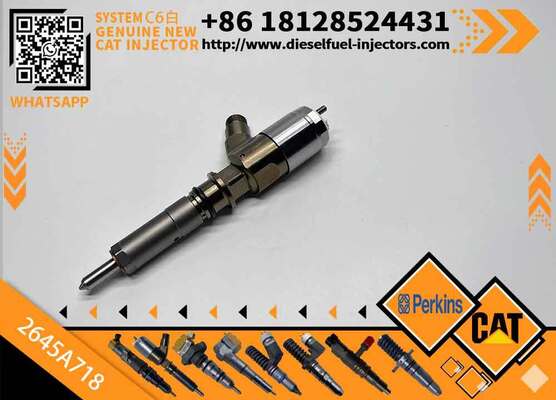 Original Quality Common Rail Fuel Injector 292-3780 2645A718 10R-7670 Engine Fuel Injector for C6.6 3116 6.6L 323D C4.4 Inyector