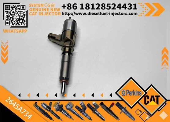 Excavator Injector 2645A718 2645A734 2645A747 for C4 C6 Diesel Engine Parts Nozzle Assembly