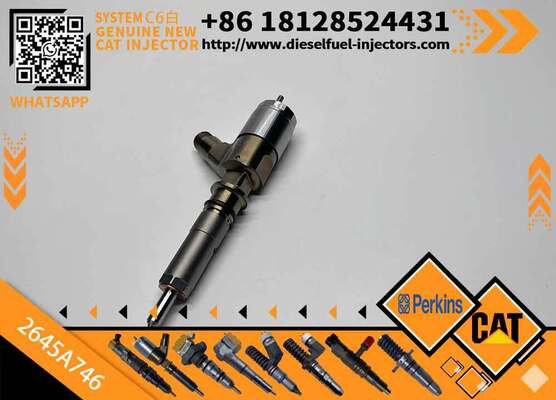 Excavator Injector 2645A737 2645A738 2645A746 for C4 C6 Diesel Engine Parts Nozzle Assembly