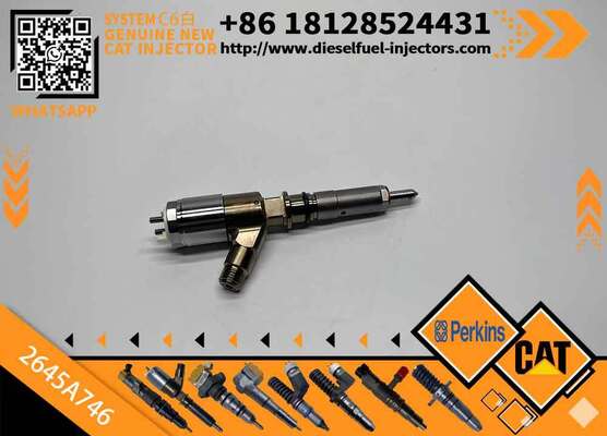 Excavator Injector 2645A737 2645A738 2645A746 for C4 C6 Diesel Engine Parts Nozzle Assembly